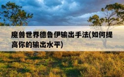 魔獸世界德魯伊輸出手法，如何提高你的輸出水平