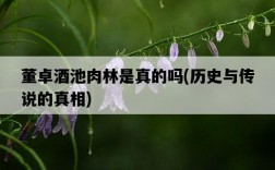 董卓酒池肉林是真的嗎，歷史與傳說的真相