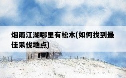 煙雨江湖哪里有松木，如何找到最佳采伐地點