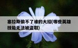 塞拉斯偷不了誰的大招，哪些英雄技能無法被盜取