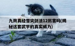 九陰真經雪災劍法12厲害嗎，揭秘這套武學的真實威力