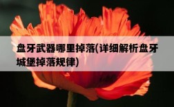 盤牙武器哪里掉落，詳細解析盤牙城堡掉落規律