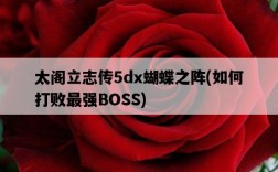太閣立志傳5dx蝴蝶之陣，如何打敗最強BOSS