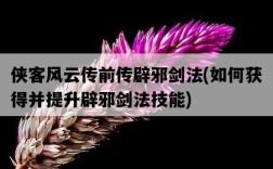 俠客風云傳前傳辟邪劍法，如何獲得并提升辟邪劍法技能