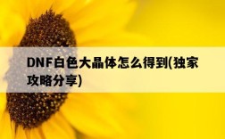 DNF白色大晶體怎么得到，獨家攻略分享
