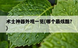 術士神器外觀一覽，哪個最炫酷？