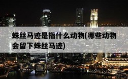 蛛絲馬跡是指什么動物，哪些動物會留下蛛絲馬跡