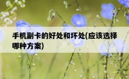 手機副卡的好處和壞處，應該選擇哪種方案