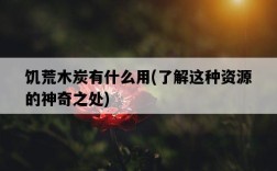 饑荒木炭有什么用，了解這種資源的神奇之處