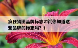 瘋狂猜圖品牌標志2字，你知道這些品牌的標志嗎？