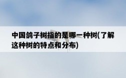 中國鴿子樹指的是哪一種樹，了解這種樹的特點和分布