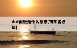 dnf面板是什么意思，初學者必知