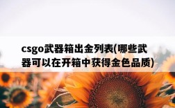 csgo武器箱出金列表，哪些武器可以在開箱中獲得金色品質