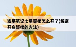 盜墓筆記七星疑棺怎么開了，解密開啟疑棺的方法