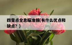 四變點全息瞄準鏡，有什么優點和缺點？