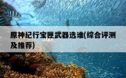 原神紀行寶匣武器選誰，綜合評測及推薦