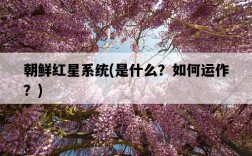朝鮮紅星系統，是什么？如何運作？