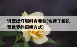 饑荒提燈燃料有哪些，快速了解饑荒世界的照明方式