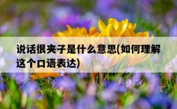 說話很夾子是什么意思，如何理解這個口語表達