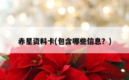 赤星資料卡，包含哪些信息？