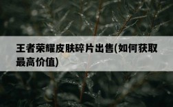 王者榮耀皮膚碎片出售，如何獲取最高價值