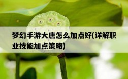 夢幻手游大唐怎么加點好，詳解職業技能加點策略