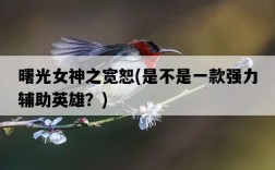 曙光女神之寬恕，是不是一款強力輔助英雄？