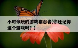 小時候玩的游戲貓忍者，你還記得這個游戲嗎？