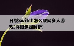 日版Switch怎么聯網多人游戲，詳細步驟解析