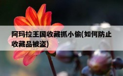 阿瑪拉王國收藏抓小偷，如何防止收藏品被盜