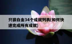 只狼白金34個成就列表，如何快速完成所有成就