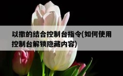 以撒的結合控制臺指令，如何使用控制臺解鎖隱藏內容