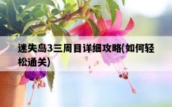 迷失島3三周目詳細攻略，如何輕松通關