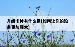升級卡片有什么用，如何讓你的設備更加強大