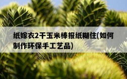紙嫁衣2干玉米棒報紙糊住，如何制作環保手工藝品