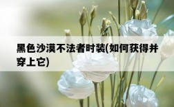 黑色沙漠不法者時裝，如何獲得并穿上它