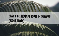 dnf110版本異界地下城在哪,詳細指南