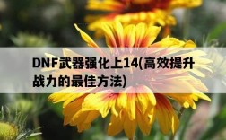 DNF武器強化上14，高效提升戰力的最佳方法