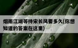 煙雨江湖等待宋長風要多久，你想知道的答案在這里