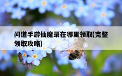 問道手游仙魔錄在哪里領取，完整領取攻略