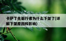 卡薩丁先驅行者為什么下架了，詳解下架原因和影響