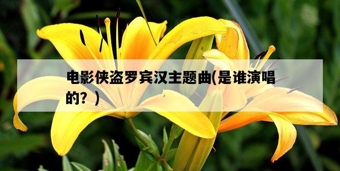 電影俠盜羅賓漢主題曲，是誰演唱的？-圖1