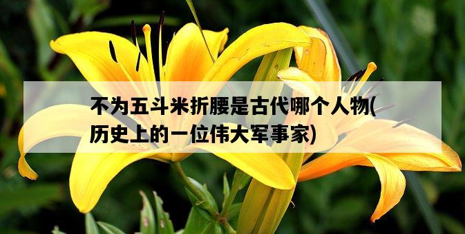 不為五斗米折腰是古代哪個人物，歷史上的一位偉大軍事家-圖1