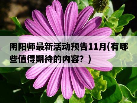 陰陽師最新活動預告11月，有哪些值得期待的內容？-圖1