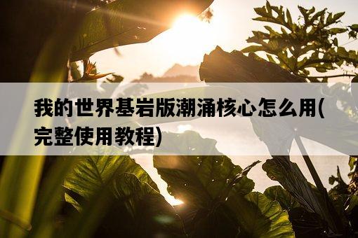 我的世界基巖版潮涌核心怎么用，完整使用教程-圖1