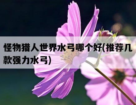 怪物獵人世界水弓哪個好，推薦幾款強力水弓-圖1