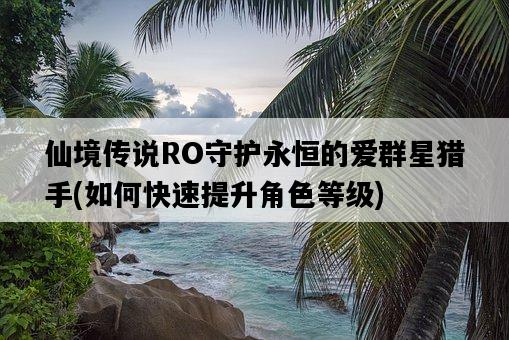 仙境傳說RO守護永恒的愛群星獵手，如何快速提升角色等級-圖1