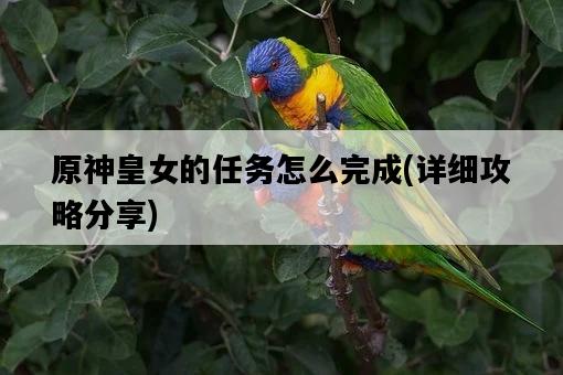 原神皇女的任務怎么完成，詳細攻略分享-圖1