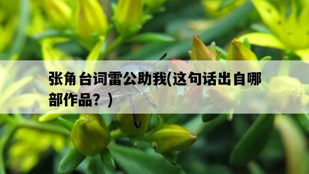 張角臺詞雷公助我，這句話出自哪部作品？-圖1