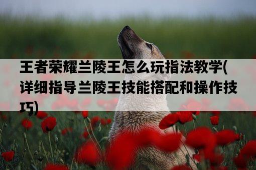 王者榮耀蘭陵王怎么玩指法教學，詳細指導蘭陵王技能搭配和操作技巧-圖1